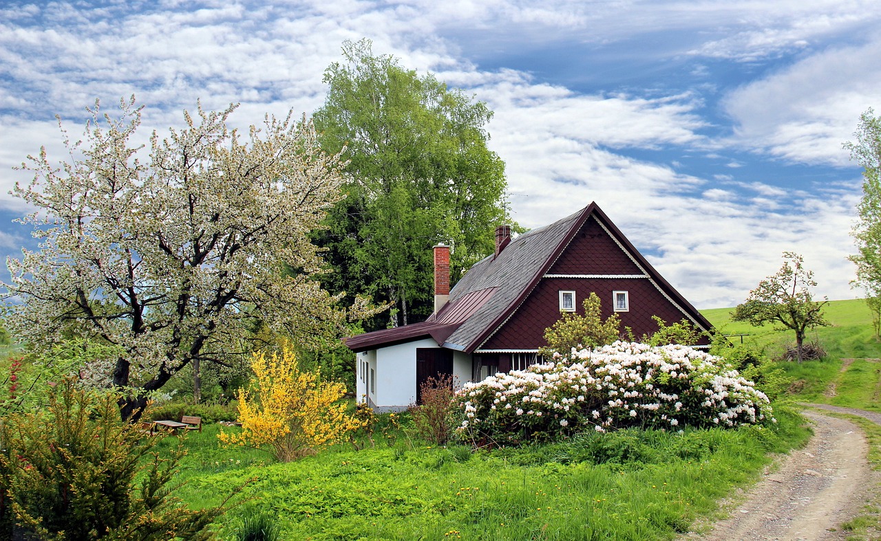 Domki na działkę ogrodową – jakie opcje są dostępne i co warto wiedzieć przed zakupem?