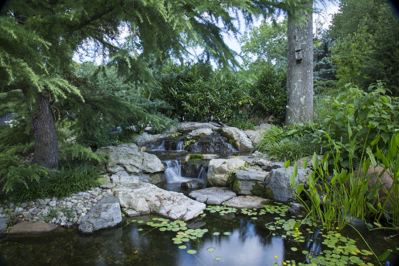 Oczko wodne i kaskada – jak połączyć dwa piękne elementy w ogrodzie