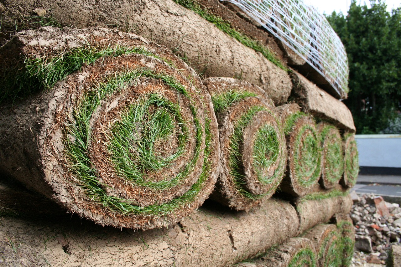 Jak profesjonalnie ułożyć trawę z rolki w Warszawie?